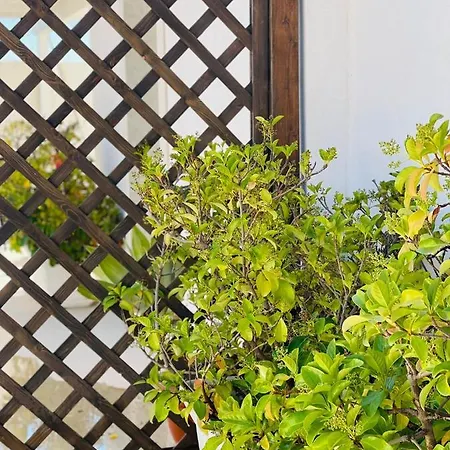 Vicosuite Neathon Holiday home Noto