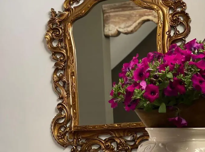 Vicosuite Neathon Ното