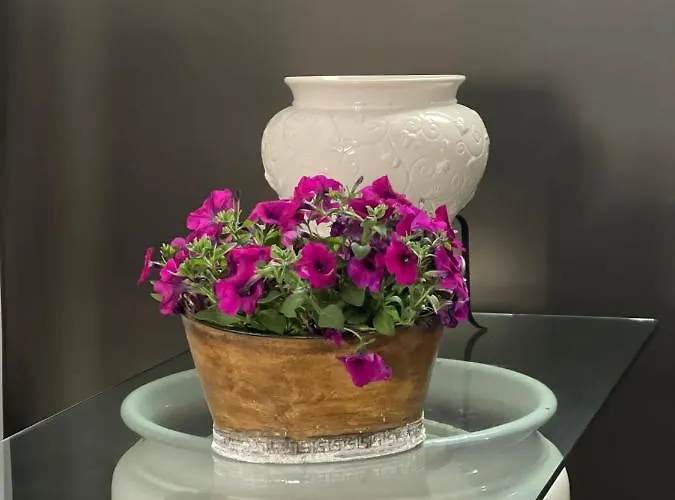 Дом отдыха Vicosuite Neathon