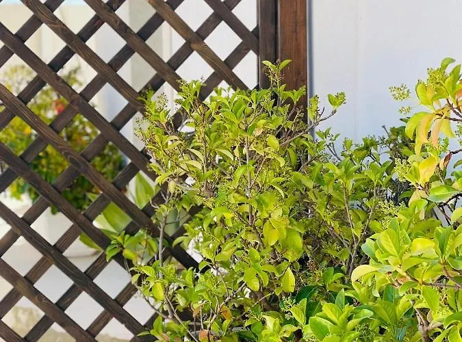 Vicosuite Neathon Дом отдыха Ното